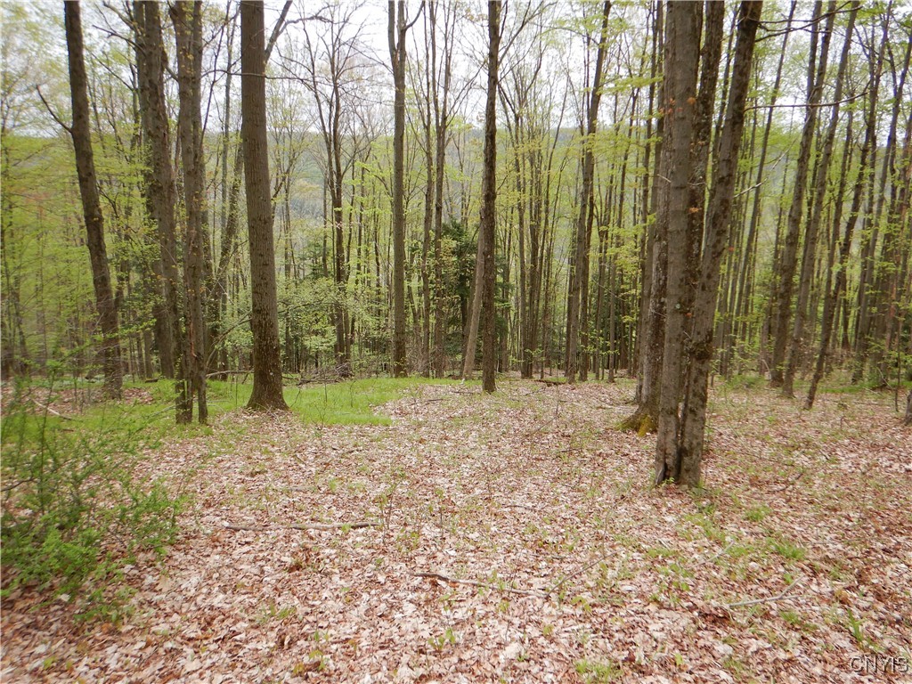 Wightman Road, Wellsville, New York image 16