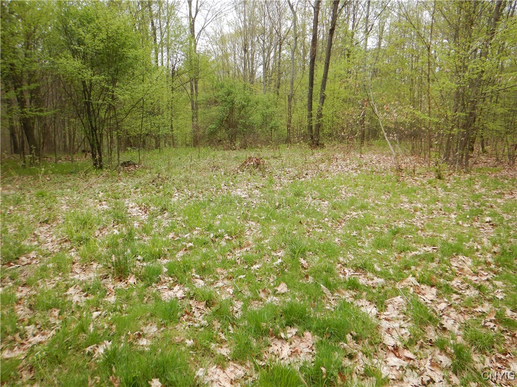Wightman Road, Wellsville, New York image 11