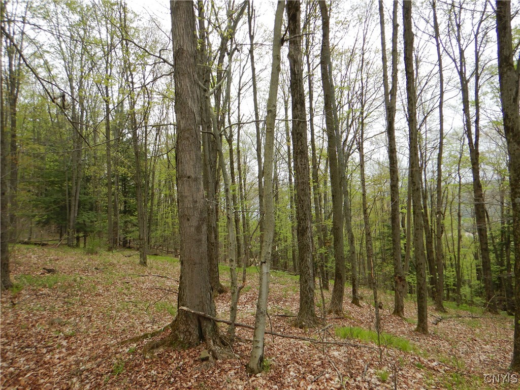 Wightman Road, Wellsville, New York image 18