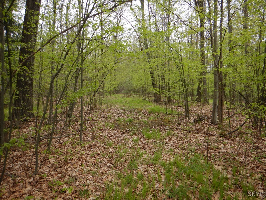 Wightman Road, Wellsville, New York image 13