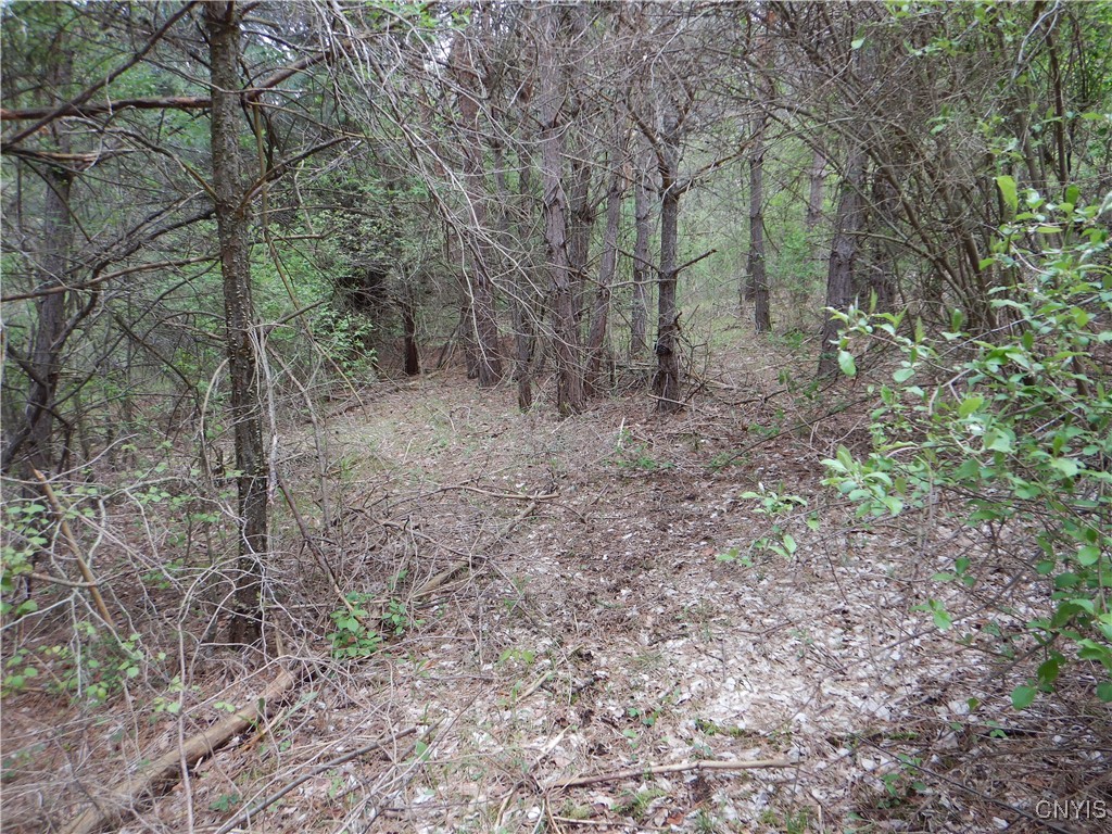 Wightman Road, Wellsville, New York image 34