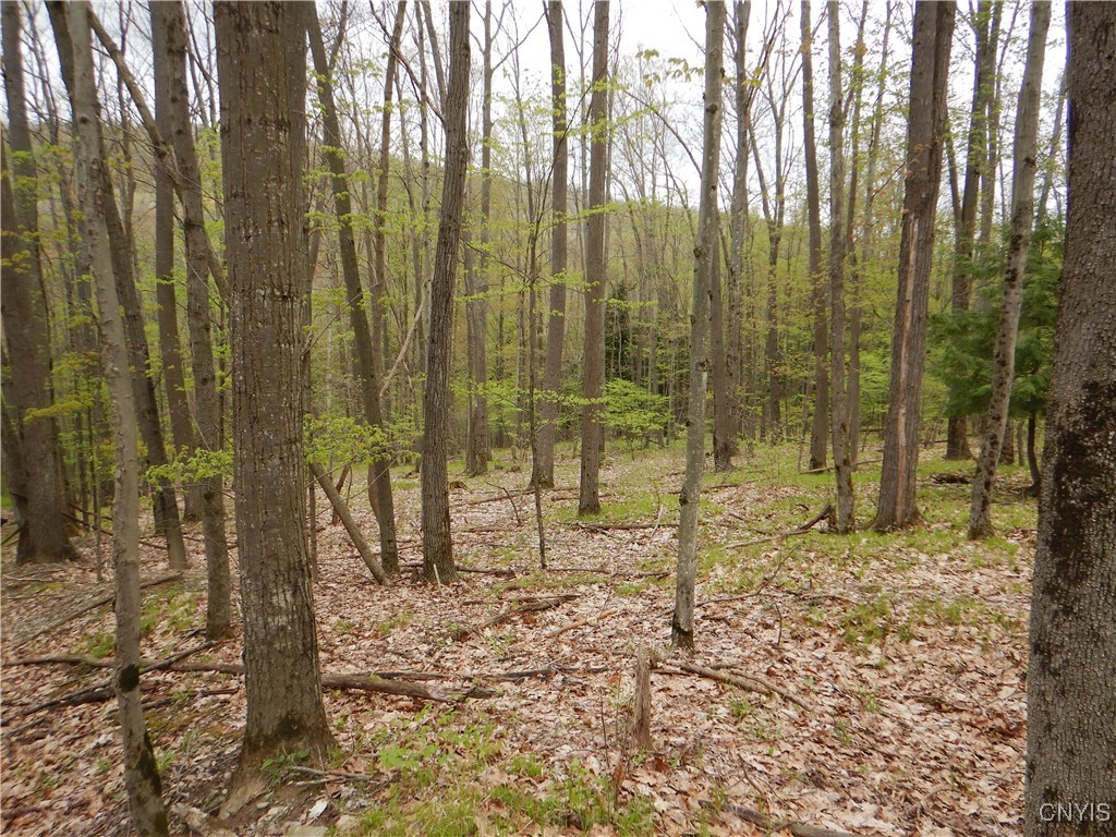 Wightman Road, Wellsville, New York image 40