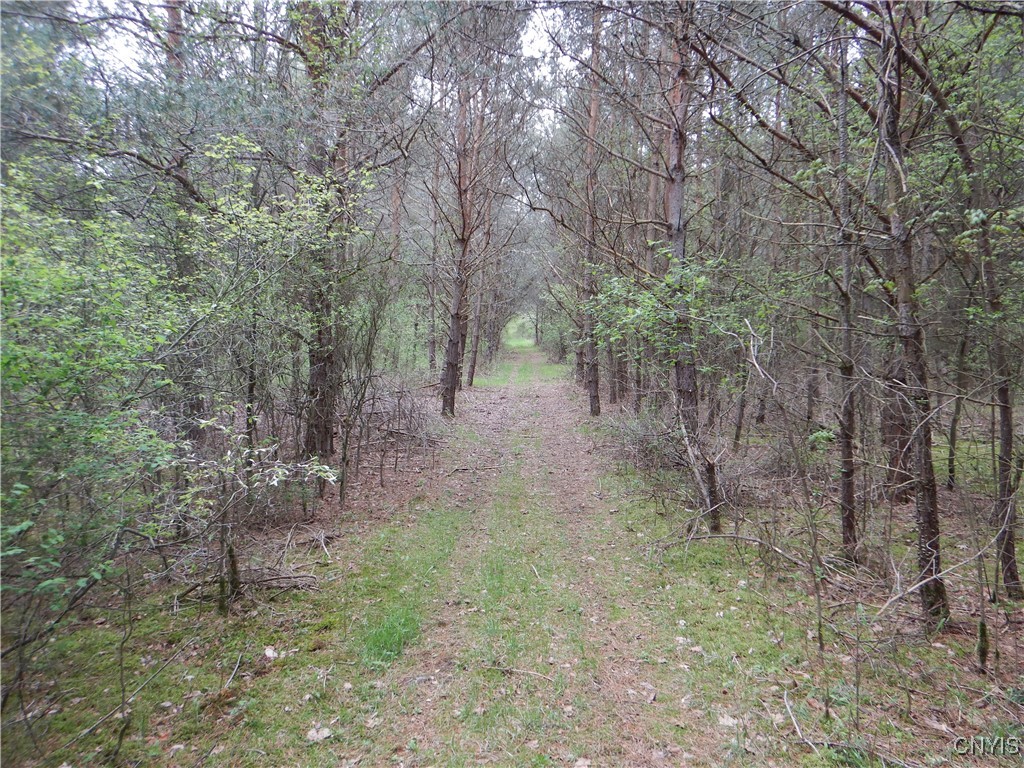 Wightman Road, Wellsville, New York image 36