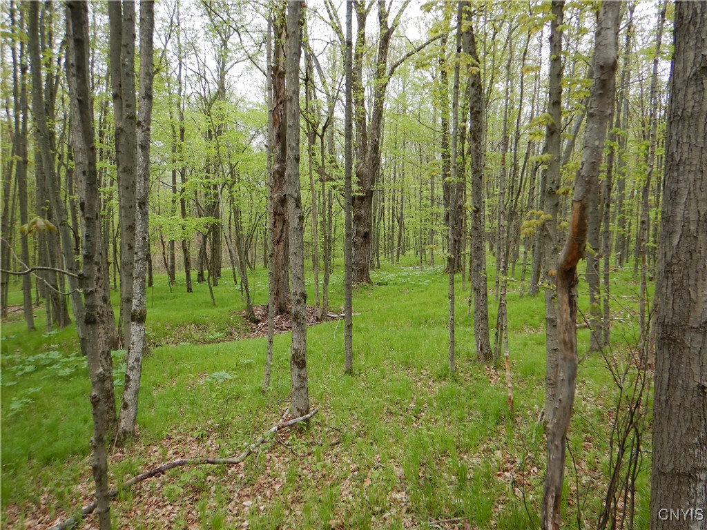Wightman Road, Wellsville, New York image 38