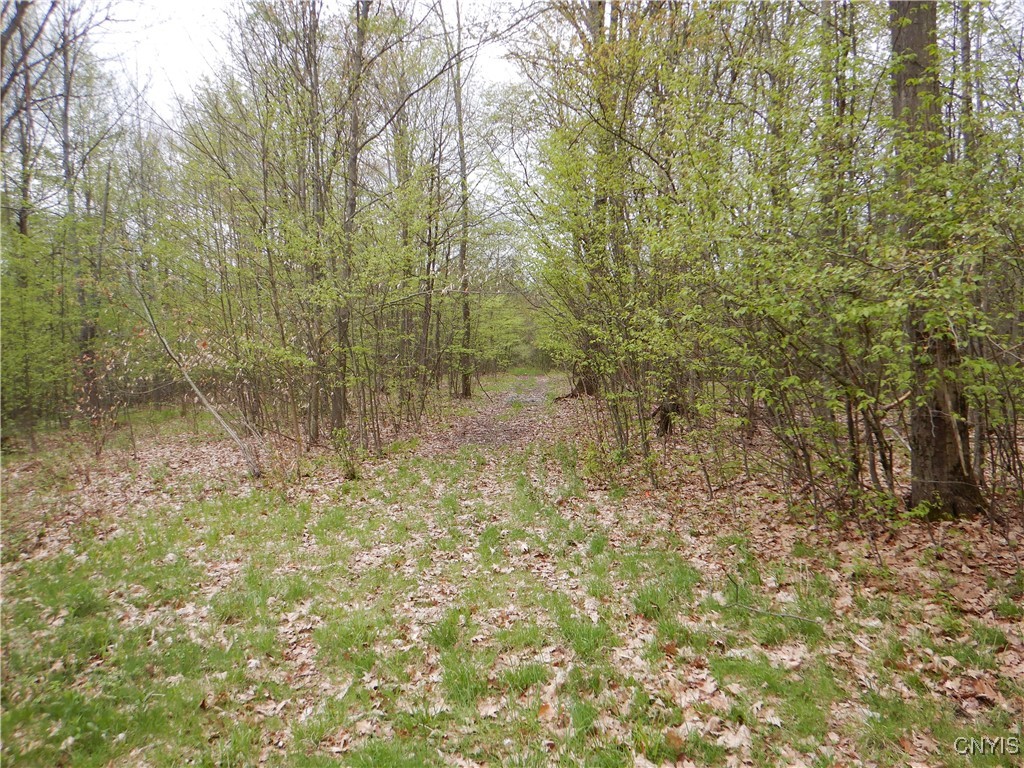 Wightman Road, Wellsville, New York image 12