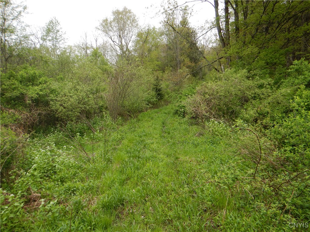 Wightman Road, Wellsville, New York image 3