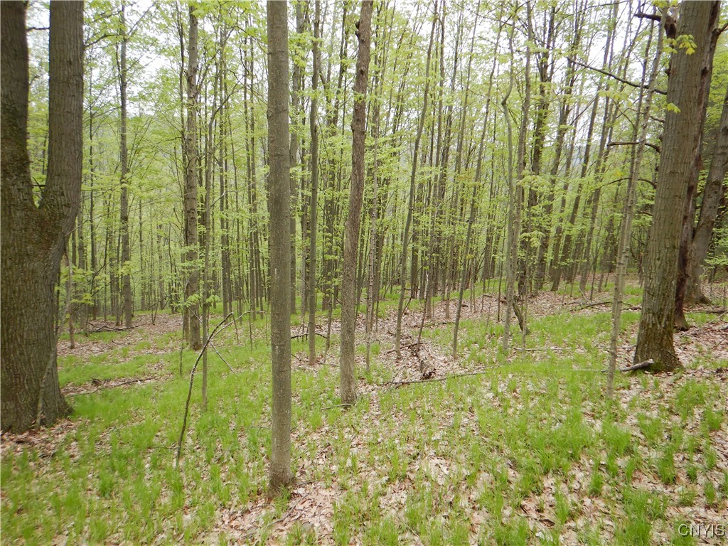 Wightman Road, Wellsville, New York image 25