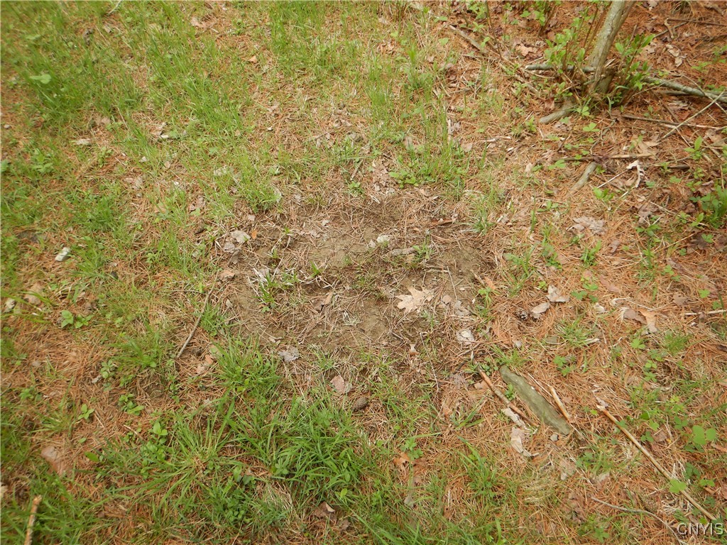 Wightman Road, Wellsville, New York image 30