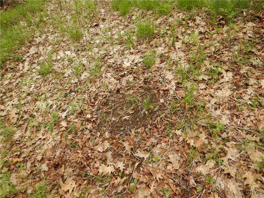 Wightman Road, Wellsville, New York image 20