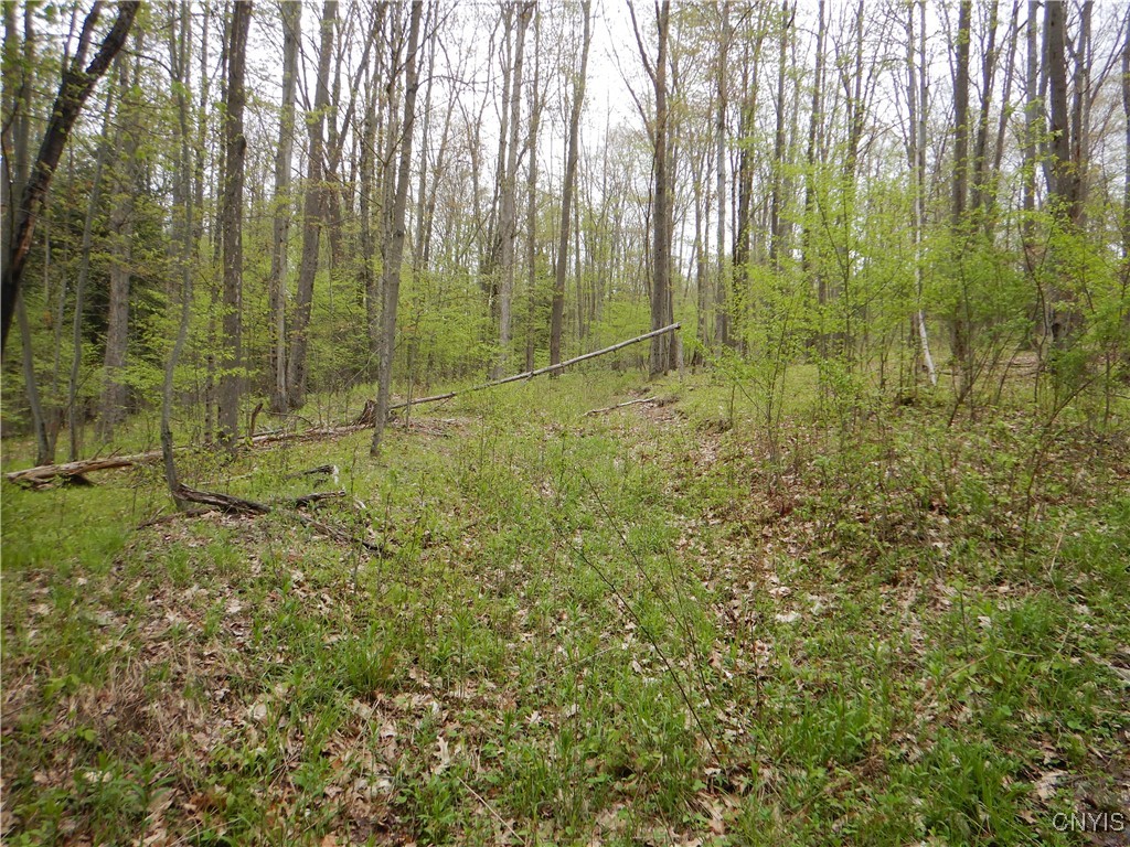 Wightman Road, Wellsville, New York image 6