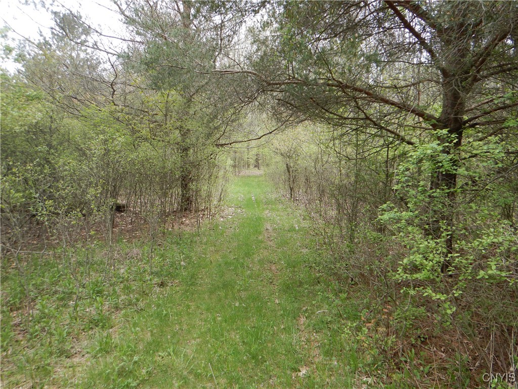 Wightman Road, Wellsville, New York image 28