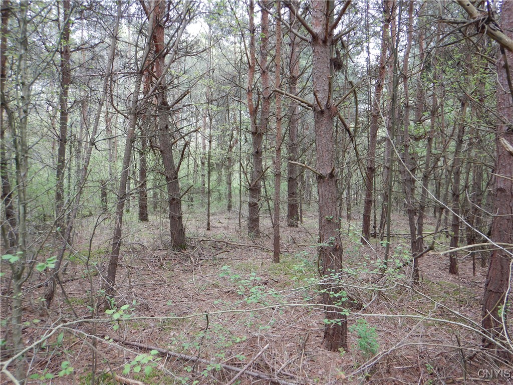 Wightman Road, Wellsville, New York image 35