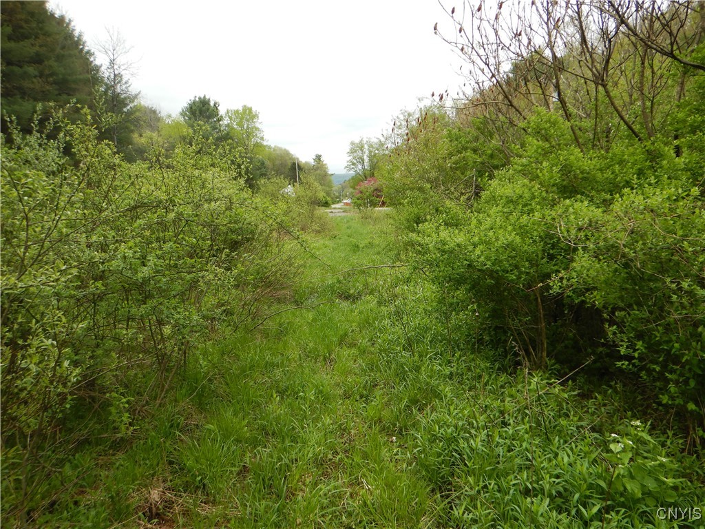 Wightman Road, Wellsville, New York image 2