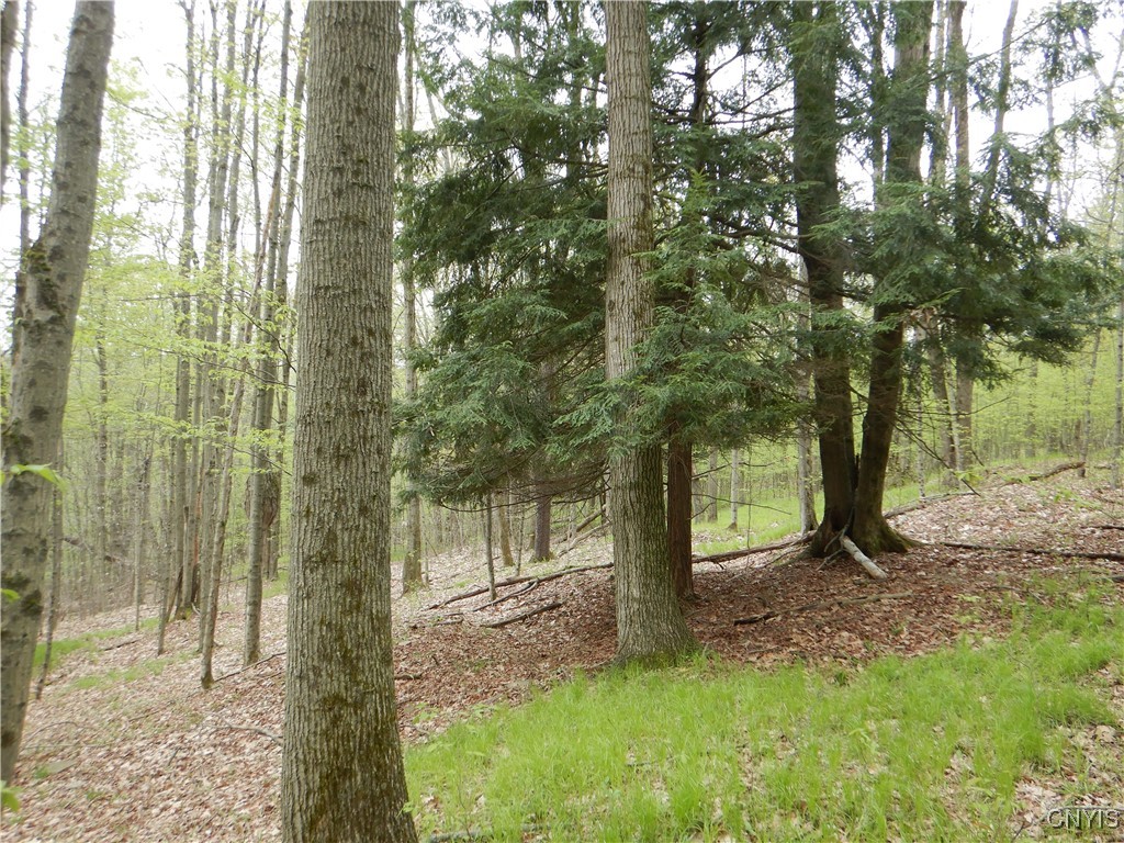 Wightman Road, Wellsville, New York image 19