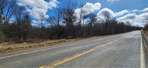 Vacant Land For Sale - Co Rte 91<br/> Jefferson County, Ellisburg, NY 13636