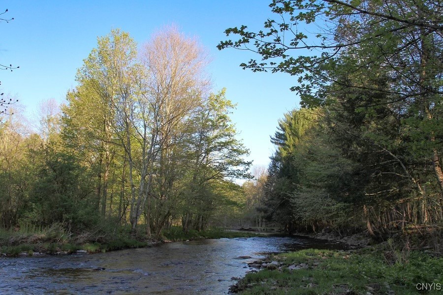 10194 Florence Hill Road, Camden, New York image 43
