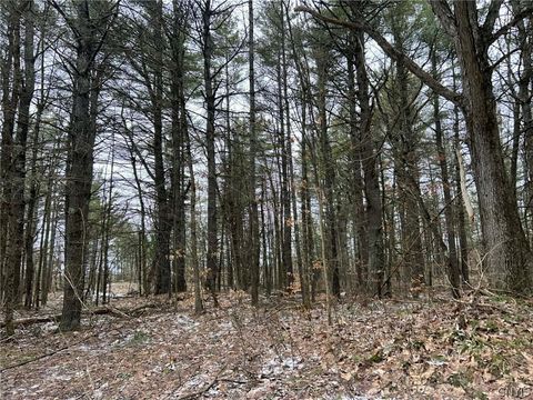 Vacant Land For Sale - Whitaker Road<br/> Saint Lawrence County, Hammond, NY 13646