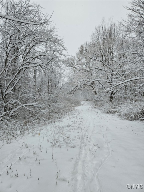 5416 Nys Rt 26, Westmoreland, New York image 30