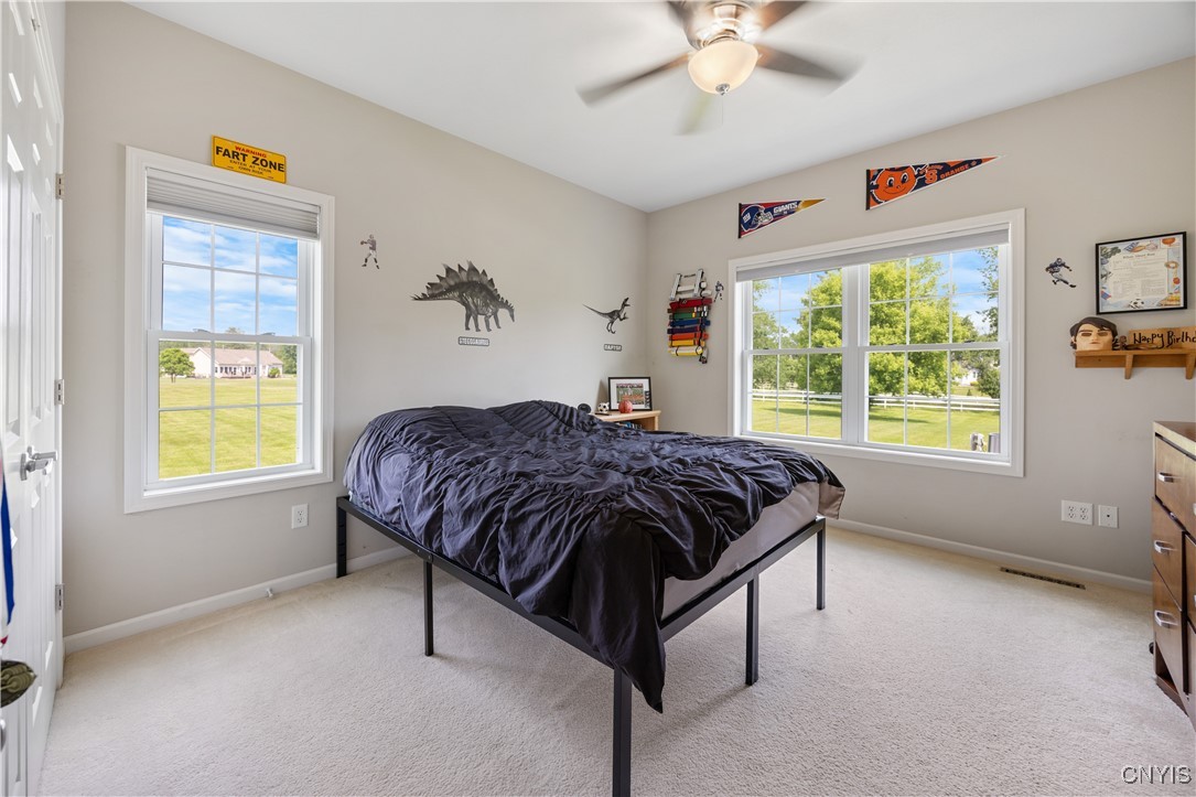 4838 Appaloosa Trl, Clay, New York image 16