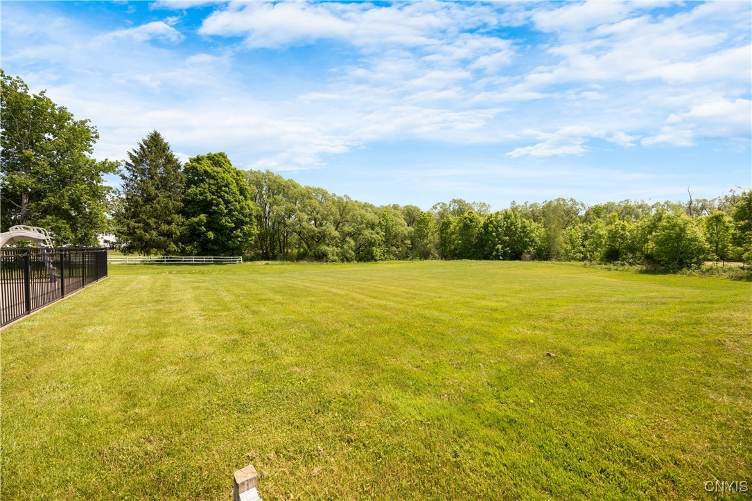4838 Appaloosa Trl, Clay, New York image 30
