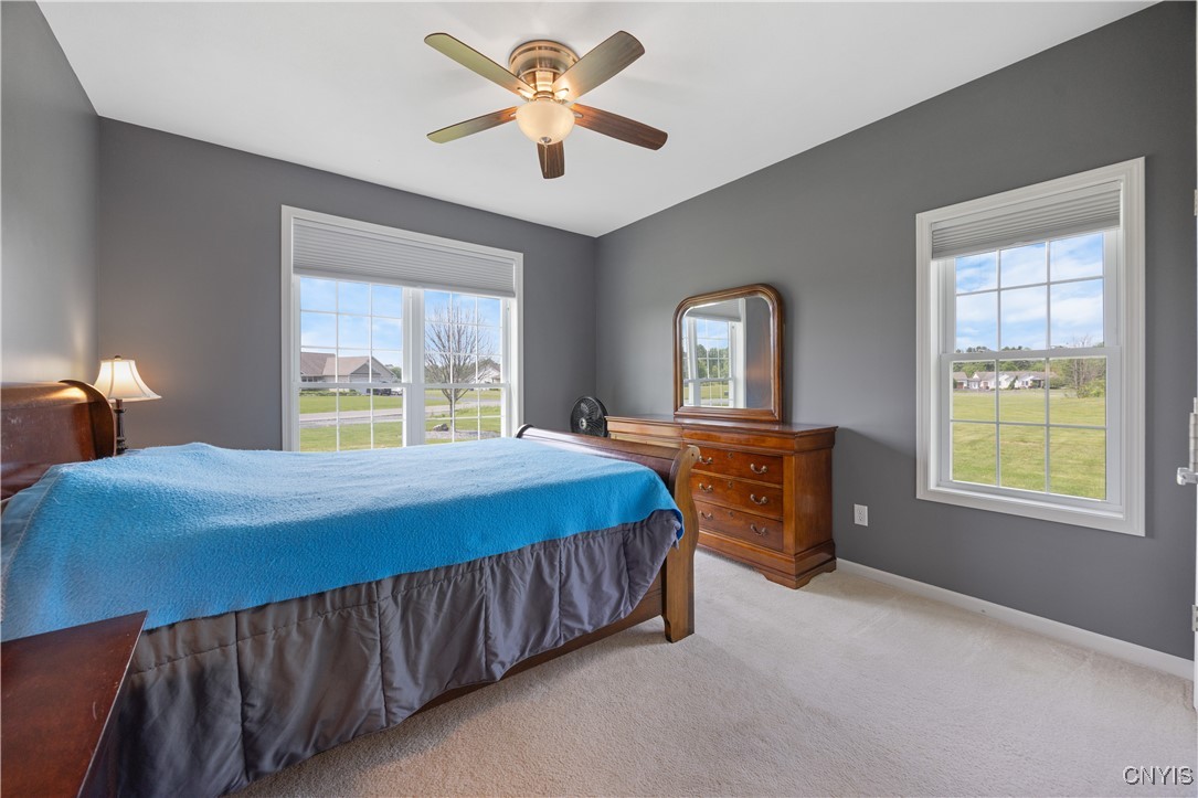 4838 Appaloosa Trl, Clay, New York image 19
