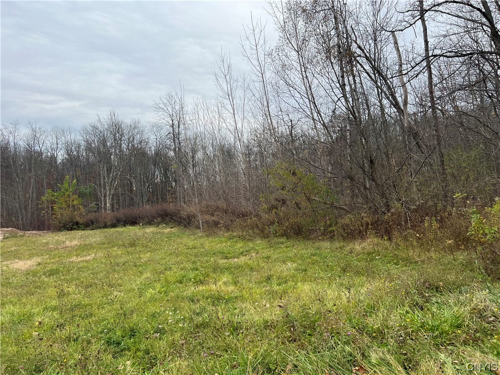 Lot 3 & 4 Elderberry Lane, Hastings, New York image 6