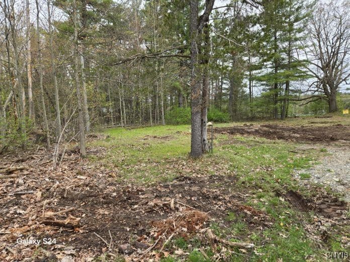 Sweet Point Road, Theresa, New York image 19