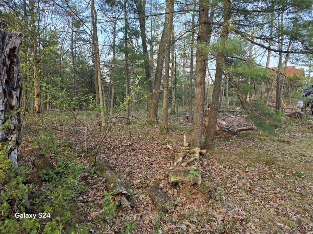 Sweet Point Road, Theresa, New York image 18