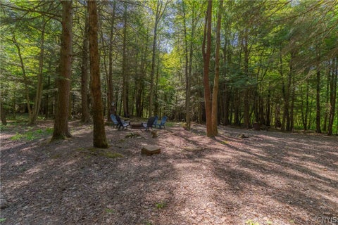 Tiny photo for 4055 Cr-15a, Allen, NY 14709 (MLS # S1690365)