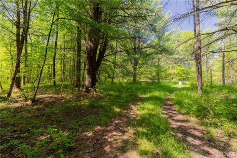 Tiny photo for 4055 Cr-15a, Allen, NY 14709 (MLS # S1690365)