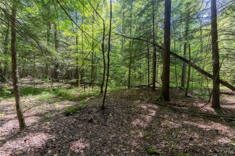 Tiny photo for 4055 Cr-15a, Allen, NY 14709 (MLS # S1690365)