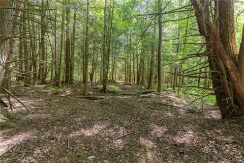 Tiny photo for 4055 Cr-15a, Allen, NY 14709 (MLS # S1690365)