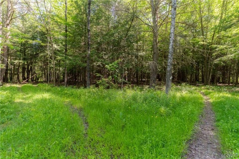 Tiny photo for 4055 Cr-15a, Allen, NY 14709 (MLS # S1690365)