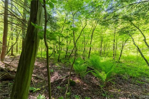Tiny photo for 4055 Cr-15a, Allen, NY 14709 (MLS # S1690365)