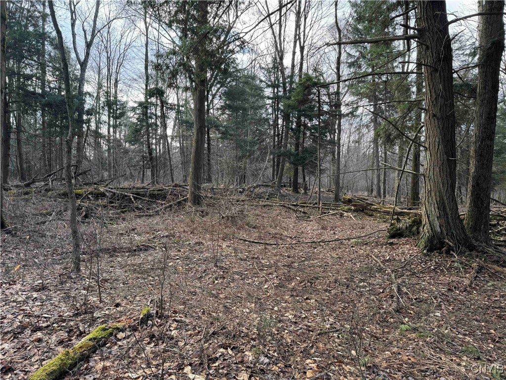 New York 426, Clymer, New York image 17