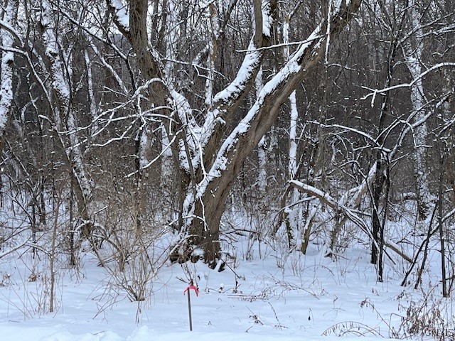 00 Pompey Hollow Road