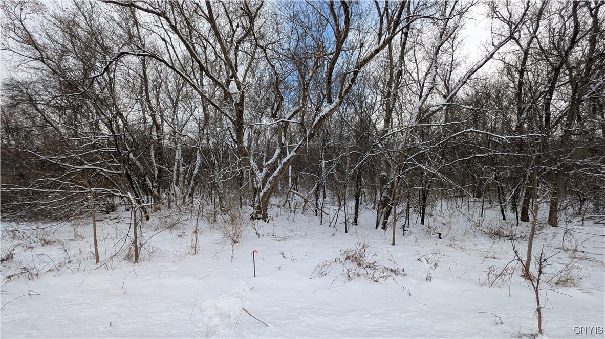 00 Pompey Hollow Road