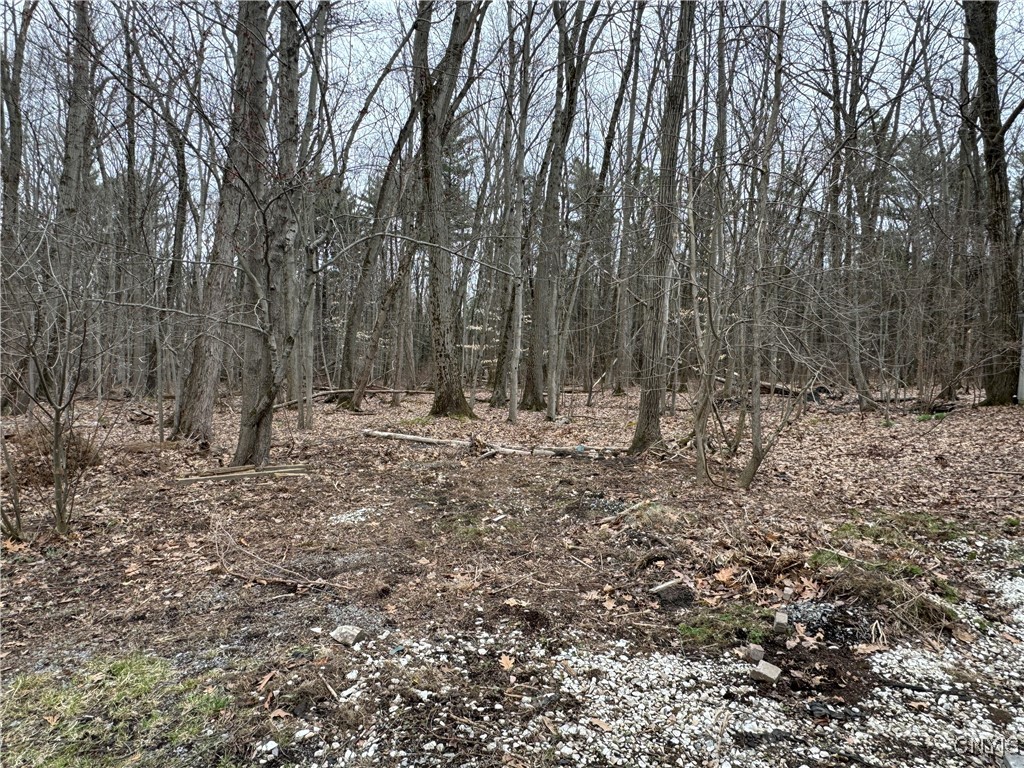 6638 N Lakeshore Road, Verona, New York image 26