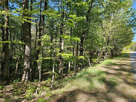 Vacant Land For Sale - Long Pond Road<br/> Croghan, NY 13327