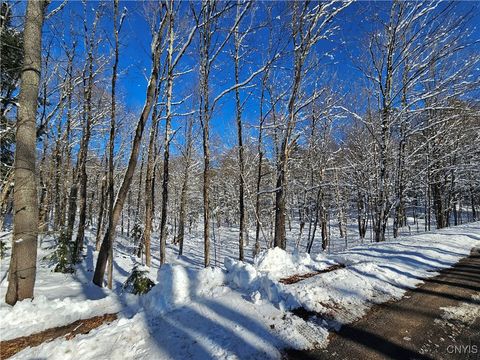 Vacant Land For Sale - Long Pond Road<br/> Croghan, NY 13327