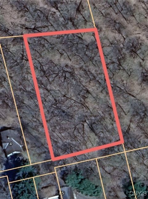 Davis Street Little Falls NY 13365