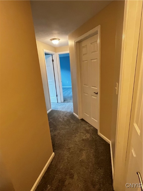 6107 Owlwood Drive, Cicero, New York image 20