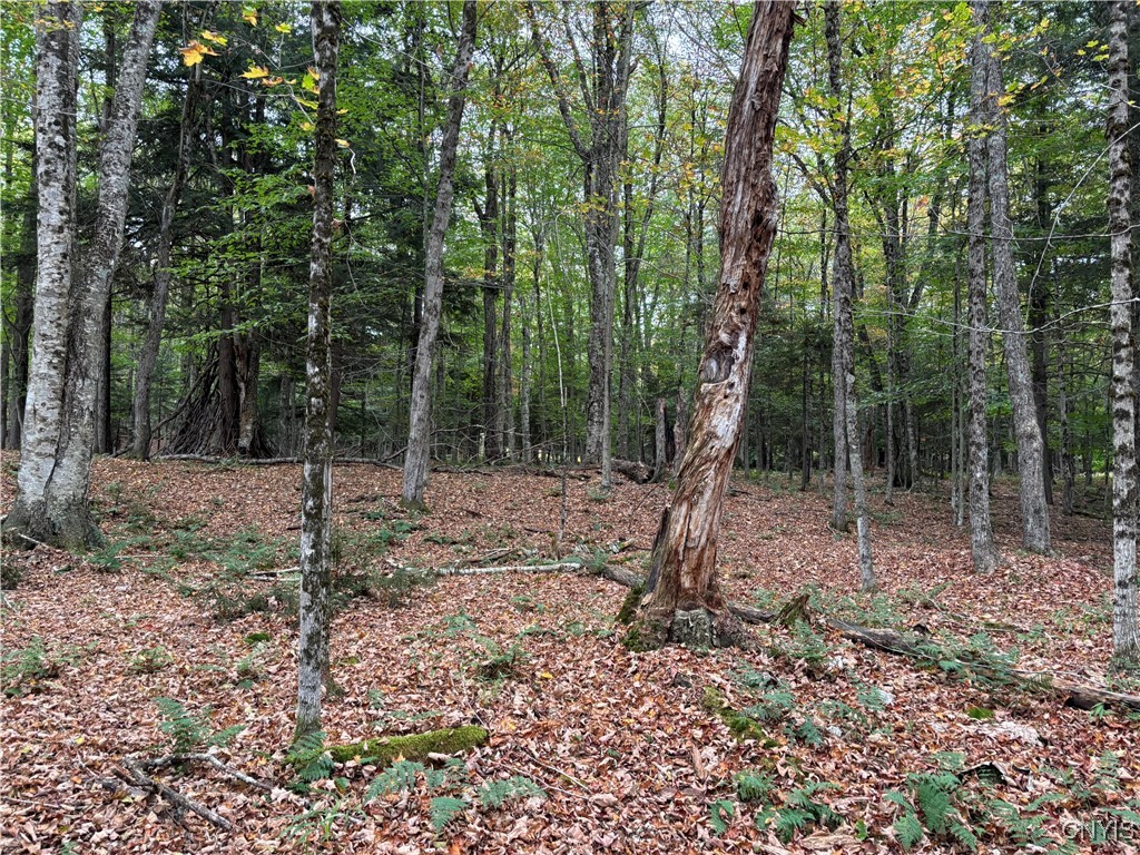 0 Deer Meadows