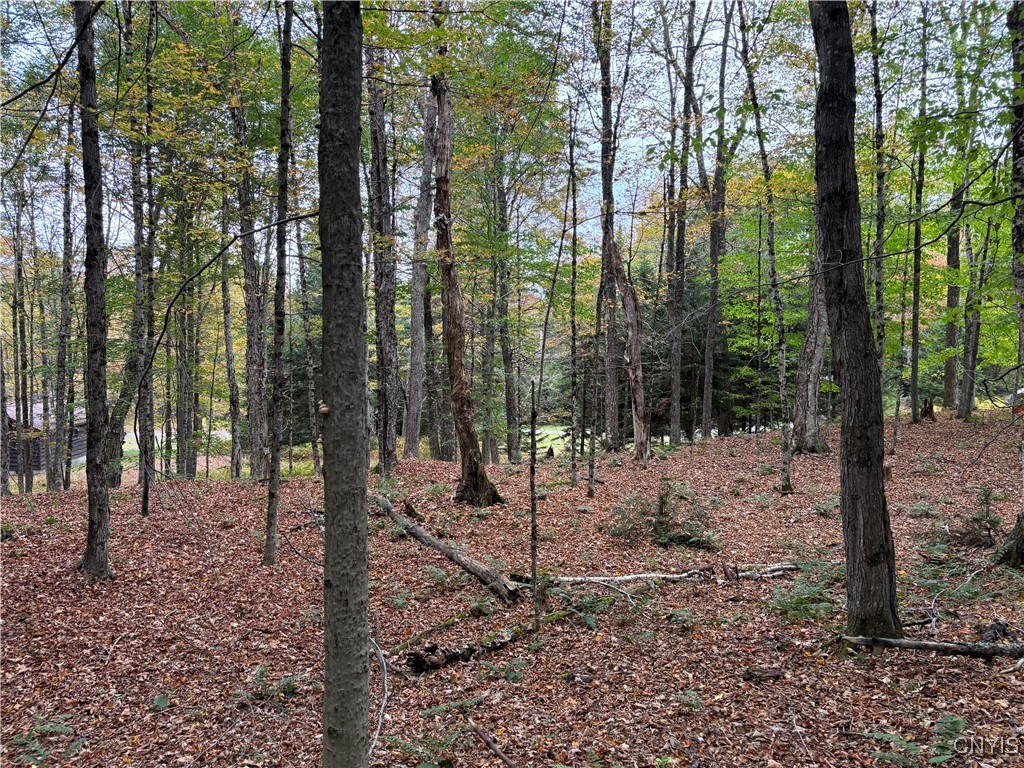 0 Deer Meadows