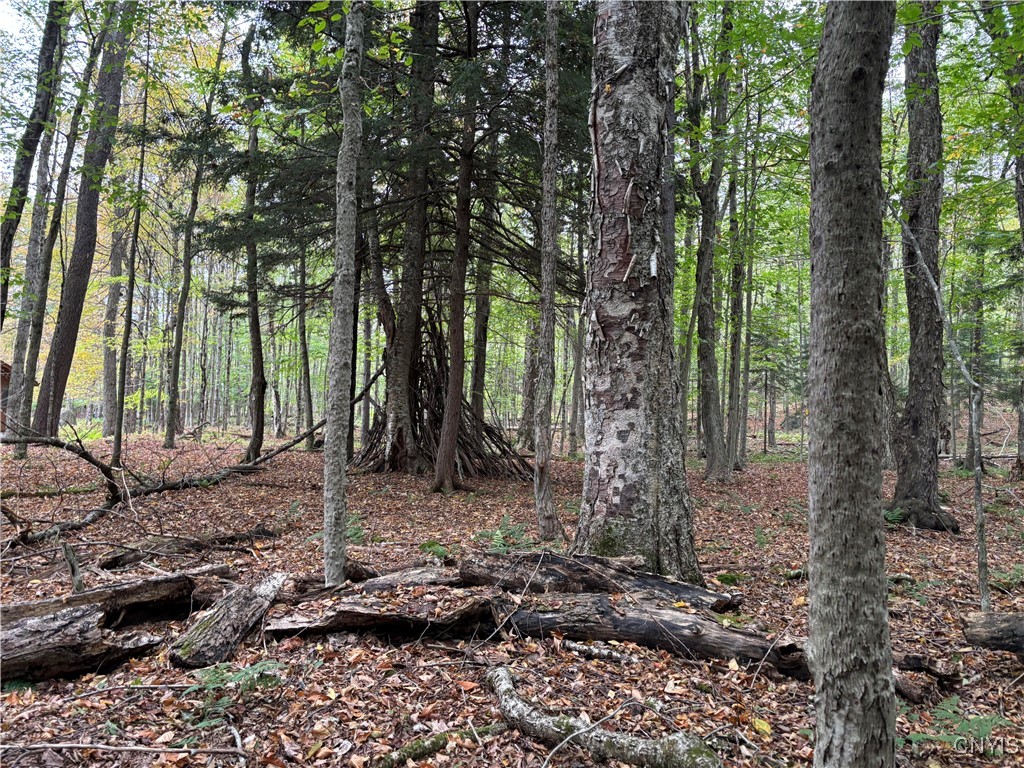 0 Deer Meadows