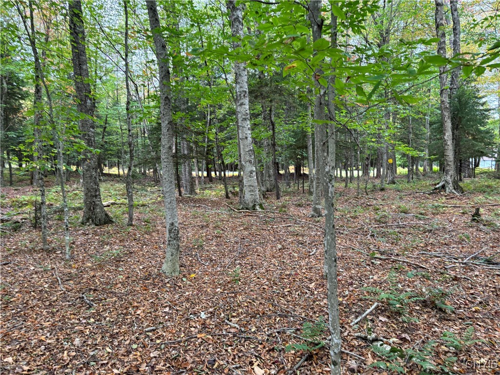 0 Deer Meadows
