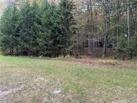 Photo of 0 Deer Meadows, Webb, NY 13420 (MLS # S1567503)