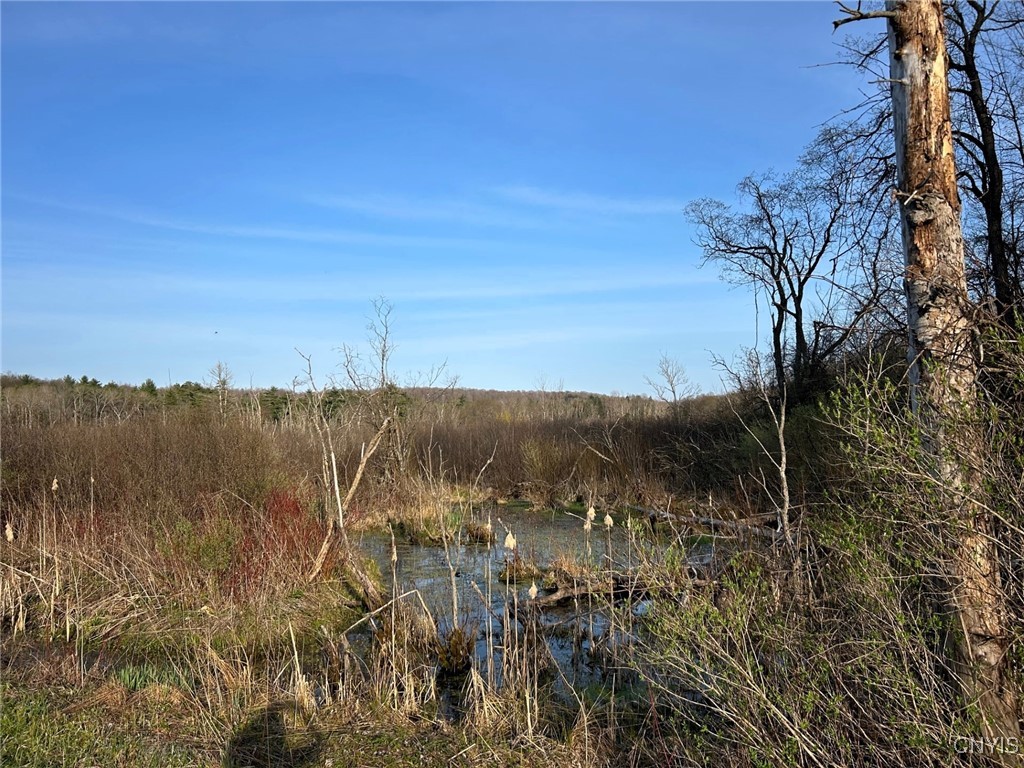 00 Judd Road