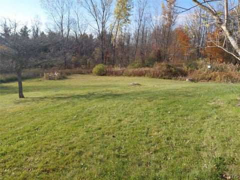 Tiny photo for 3517 Cody Road, Fenner, NY 13035 (MLS # S1724139)