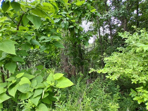 Tiny photo for 106 Skye Island Drive, Union, NY 13760 (MLS # S1702092)